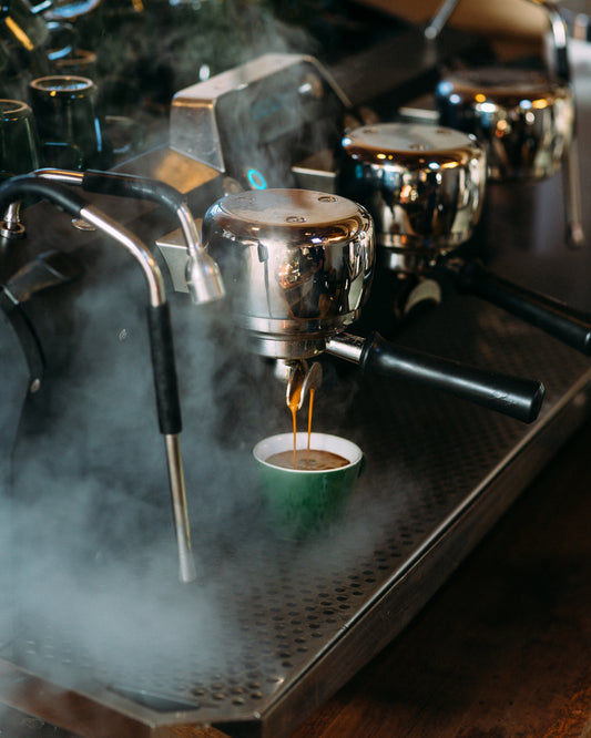 Barista Fundamentals & Coffee 101